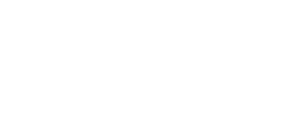 Platinum hund och kattfoder logo
